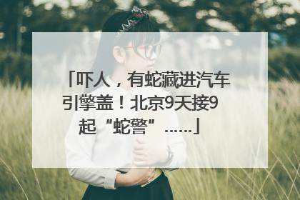 吓人，有蛇藏进汽车引擎盖！北京9天接9起“蛇警”……